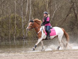 2016 TREC Træning 16 april